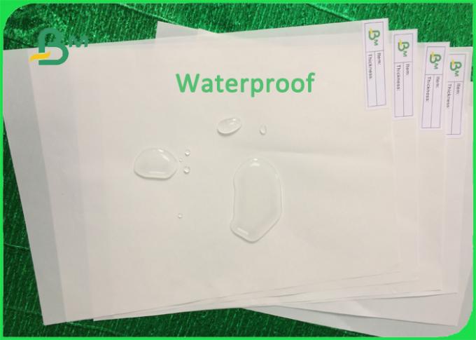 Moisture-proof 120gsm - 560gsm Double Coated Stone Paper for Notebook