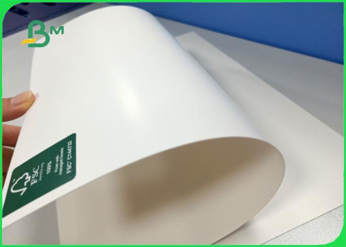 FSC Certified good bulk thickness 250gsm 270gsm 300gsm C1S ivory board fold in roll
