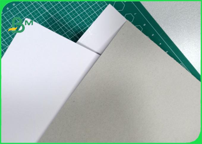 200gsm - 800gsm excellent toughness ink absorbability Duplex board in sheet / roll