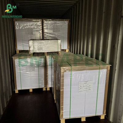240gsm 260gsm সাদা মুদ্রণযোগ্য কাপ1s কাপ তৈরির জন্য কাগজ 700mm 800mm