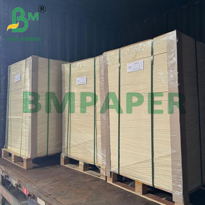 350gsm পরিবেশ বান্ধব মাইক্রোওয়েভ নিরাপদ ফুড বক্স রেস্টুরেন্ট টেকওয়ের জন্য