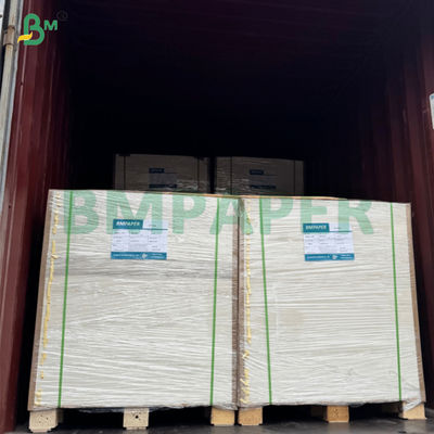 220gsm C1S Coated High Strength Food Board For Food Packing