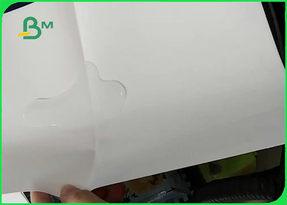 শপিং ব্যাগগুলির জন্য 200 ম 100% গাছের মুক্ত স্টোন পেপার তেল প্রতিরোধী 25 '' x 40 ''