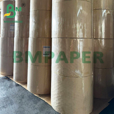 508mm 600mm Greaseproof রঙিন বেকিং কাপ Liner পেপার জন্য মফিন কাপকেক