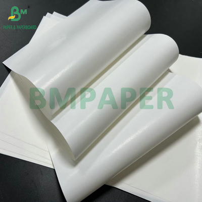 65 গ্রাম লেপ একপাশের বিয়ার বোতল লেবেল কাগজ মুদ্রণের জন্য 61 সেমি 86 সেমি বড় রোল
