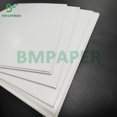 ৩৫০ গ্রাম এসবিএস সলিড ব্লিচ সুলফেট বোর্ড