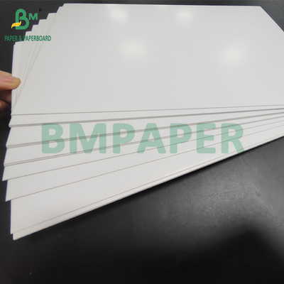 ৩৫০ গ্রাম এসবিএস সলিড ব্লিচ সুলফেট বোর্ড