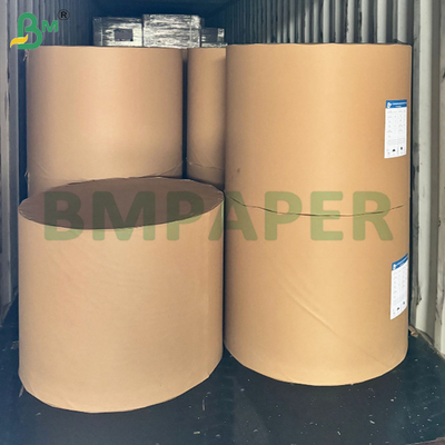 ক্যাশ রেজিস্টার এবং তাপীয় প্রাপ্তি কাগজ রোল 48gsm 570mm 800mm রোল