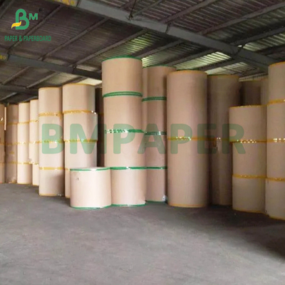 খাদ্য গ্রেড ক্রাফ্ট 320gsm + 20g PE লেপা কাগজ কফি কাপ জন্য উচ্চ বাল্ক 900mm