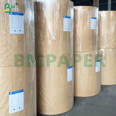 180um ডাবল সাইড গ্লসি অ্যান্ট্রিয়ার পিইটি সিন্থেটিক পেপার শীট