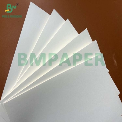 মাংসের প্যাকেজিং জন্য 200um 240um জল প্রতিরোধী পাথর কাগজ 787 x 520mm