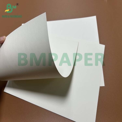 মাংসের প্যাকেজিং জন্য 200um 240um জল প্রতিরোধী পাথর কাগজ 787 x 520mm