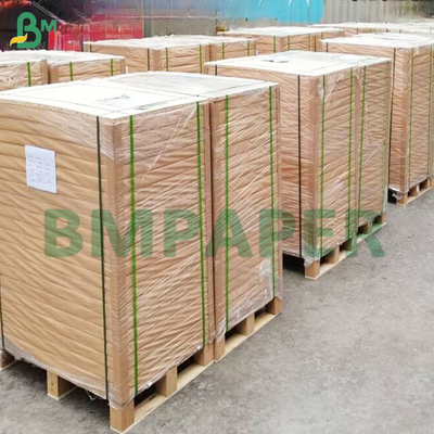 খাদ্য গ্রেড 40gsm Greaseproof রঙিন কাপকেক বেকিং কাগজ শীট