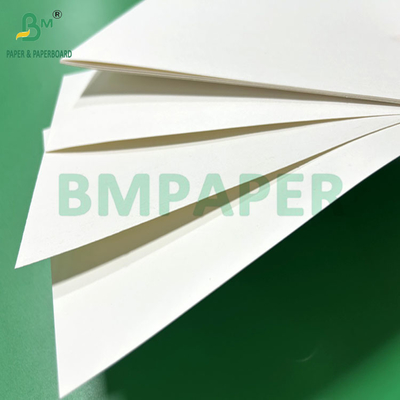 240gsm 260gsm সাদা মুদ্রণযোগ্য কাপ1s কাপ তৈরির জন্য কাগজ 700mm 800mm