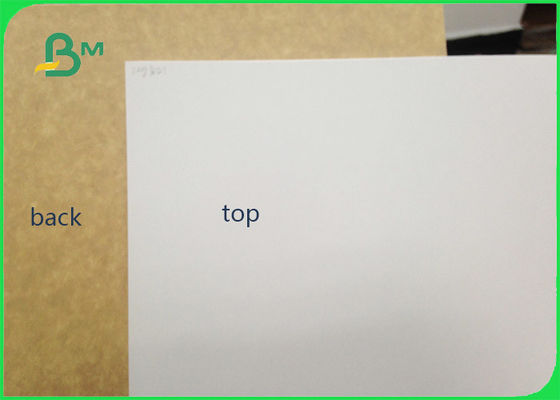 450gsm FSC সার্টিফাইড ক্লে লেপা ক্র্যাফ্ট পিছনে খাদ্য গ্রেড কাগজ রোল / হোয়াইট লিনিয়ার কাগজ জন্য প্যাকিং