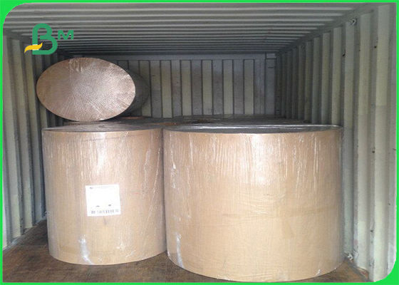 FSC 290G গ্রেড বোর্ড খাদ্য বক্সের প্রস্থ 50cm 60cm 65cm ভার্জিন Pulp