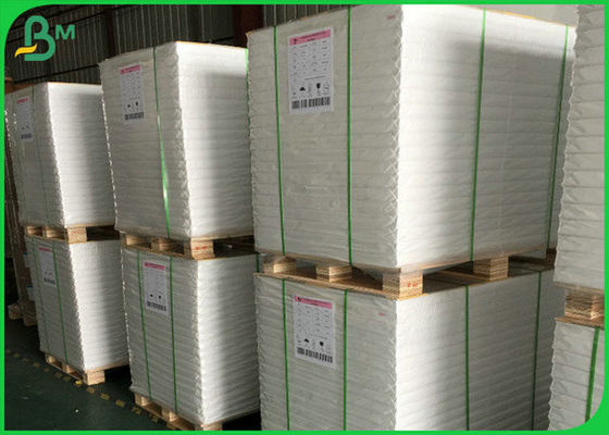300GSM FSC SGS হোয়াইট চকচকে আর্ট পেপার Reel 100% প্রাকৃতিক পাম্প উপাদান সঙ্গে