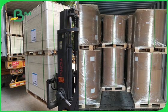 কাগজের বাটি জন্য এফএসসি এফডিএ 300gsm আইভরি ওয়ান সাইড লেপড হোয়াইট বোর্ড পিই জিসি 1 পেপার