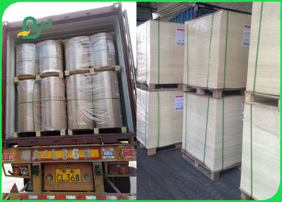 গ্রিল রান্নার বিবিকিউ জন্য এফডিএ এফএসসি সার্টিফাইড ফুড সেফ হিট রেজিস্ট্যান্ট বেকিং পেপার