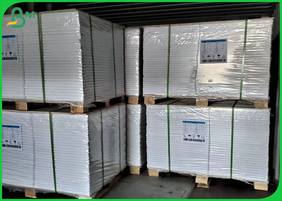 70 এলবি 80 এলবি হোয়াইট অফসেট প্রিন্টিং পেপার রোল এফএসসি শংসাপত্র সহ