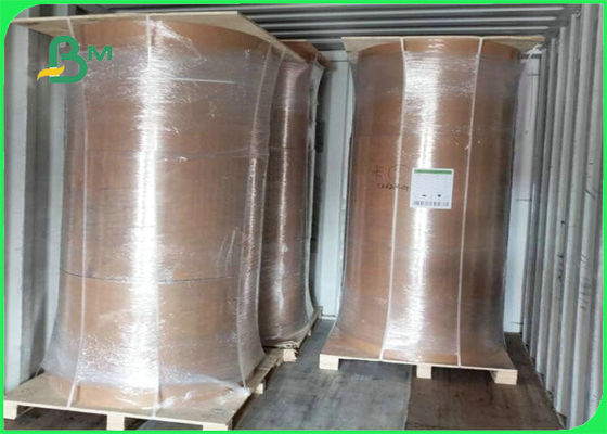 300GSM 350GSM গ্রীস প্রতিরোধের মধ্যাহ্নভোজ খাবার বাক্সের উপাদান ক্রাফ্ট পেপারবোর্ড