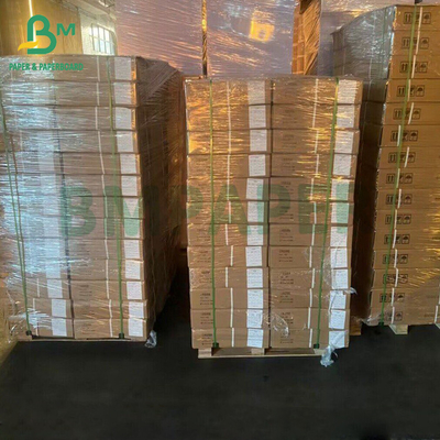 A3 A4 ইঙ্কজেট প্রিন্ট ফটো স্টুডিও প্রতিকৃতি পটভূমি পটভূমি কাগজ