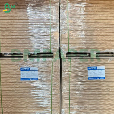 190জিএসএম+10জিএসএম পিই কোটিং করা উচ্চ দৃঢ়তা সম্পন্ন বাটি তৈরির কাগজ