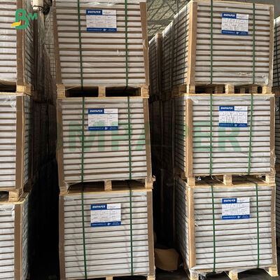 গ্রীজপ্রুফ সাদা কফি হলুদ সবুজ কাপকেক লাইনার মাফিন বেকিং পেপার