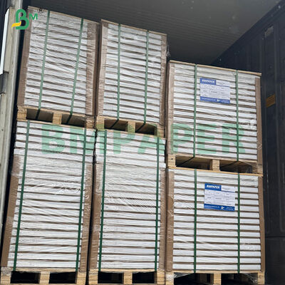 ছোট কেক শীটগুলির জন্য 40gsm উচ্চ - তাপমাত্রা প্রতিরোধী কাপকেক ওভেন বেকিং পেপার