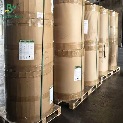 ৪০ গ্রাম ৪৫ গ্রাম ৫০ গ্রাম ব্লিচড কিট ৫ কিট ৭ গ্রীসপ্রুফ পেপার ক্রাফট রোল ৬০ সেমি ৭০ সেমি