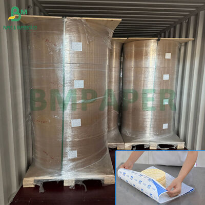 30gsm 40gsm White Food Grade Tortilla Separator Paper in 35cm 47cm Reel
