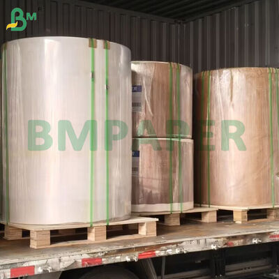40gsm Silicone Coated Paper Rolls 600mm Width for Oven Baking