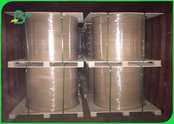 FSC প্রশংসাপত্র তেল এবং জল বিরক্তিকর PE শীট এবং রোলস মধ্যে লেপা কাগজ