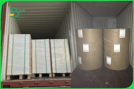 এফএসসি এফডিএ হোয়াইট ফুড সেফ এফবিবি বোর্ড 15 জি পিই লেপড পেপার কাপ মেকিং কাস্টমের জন্য