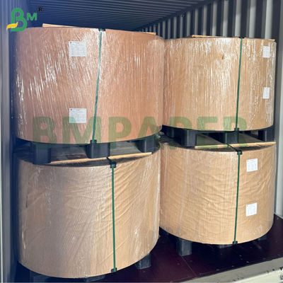 240gsm 260gsm জলরোধী কাপ1s কাগজ কফি কাপের জন্য 70cm 80cm রিল