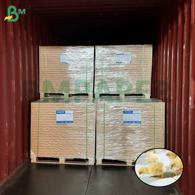 হোয়াইট চিকেন রিলেভিং পেপার পোল্ট্রি ফার্মিং জন্য চিকেন পেপার 66cm 100cm