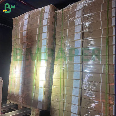 হোয়াইট চিকেন রিলেভিং পেপার পোল্ট্রি ফার্মিং জন্য চিকেন পেপার 66cm 100cm