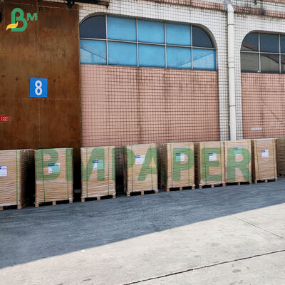 বেকিংয়ের জন্য অ্যান্টি-স্টিক কাপকেক লাইনারস রঙিন গ্রীসপ্রুফ পারগমেন্ট মফিন লাইনার পেপার