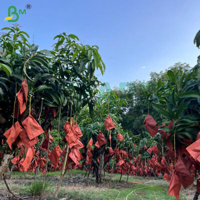 ৫৬ গ্রাম একপাশের মোম লাল এবং কালো কাগজ আম চাষের জন্য ব্যাগ, আবহাওয়া প্রতিরোধী ফল সুরক্ষা কাগজ