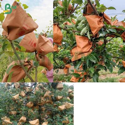 লাল রঙের বাইরের কাগজ ফল প্যাকেজিং কাগজ আপেলের জন্য প্যাকেজিং কাগজ, 56gsm অ-মোমযুক্ত আপেল ব্যাগিং কাগজ