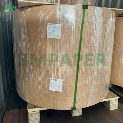 গ্রীজপ্রুফ সাদা কফি হলুদ সবুজ কাপকেক লাইনার মাফিন বেকিং পেপার