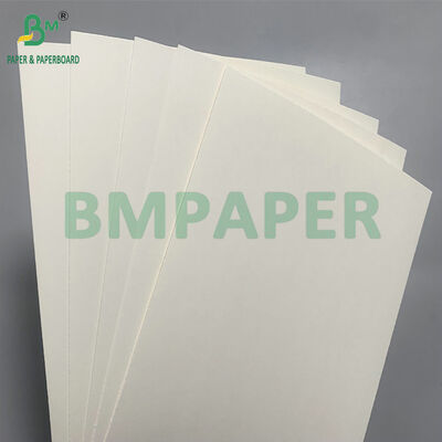 স্যালাডের জন্য ডিসপোজেবল বাটি তৈরির জন্য বায়োডেগ্রেডেবল এবং মাইক্রোওয়েভ নিরাপদ কার্ডবোর্ড