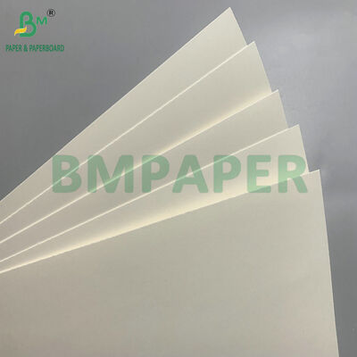 স্যালাডের জন্য ডিসপোজেবল বাটি তৈরির জন্য বায়োডেগ্রেডেবল এবং মাইক্রোওয়েভ নিরাপদ কার্ডবোর্ড