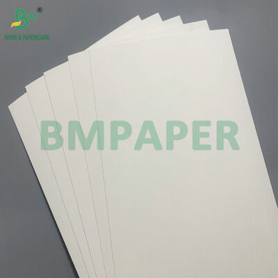 স্যালাডের জন্য ডিসপোজেবল বাটি তৈরির জন্য বায়োডেগ্রেডেবল এবং মাইক্রোওয়েভ নিরাপদ কার্ডবোর্ড