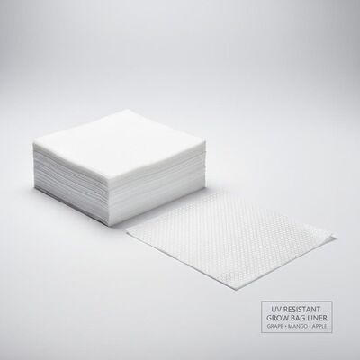 ইউভি প্রতিরোধী আঙ্গুর মঙ্গো আপেল গ্রো ব্যাগিং কাগজ অভ্যন্তরীণ স্তর লাইনার