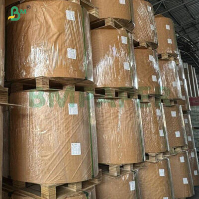 রান্নার জন্য ৪০জিএসএম নন-স্টিক বেকিং গ্রীসপ্রুফ সিলিকন পেপার