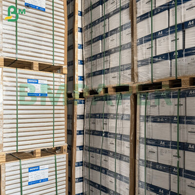 50/60gsm Thin Clear Image Bible Paper Sheets for Offset Print