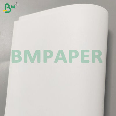 ব্যায়াম বইয়ের জন্য 70/80gsm কাঠমুক্ত গুড প্রিন্টিং জাম্বো রোলস