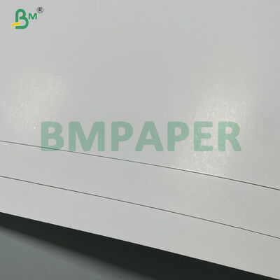 300gsm C1S Coated Blister Packing Paper for Electronic Products Packing
