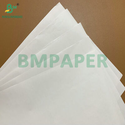 উচ্চ স্থায়িত্ব প্রিমিয়াম বিপিএ-মুক্ত ৪৮gsm ৫৫gsm থার্মাল পেপার রোল